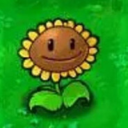 是不是阳光给你给多了