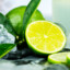 ~~~Lime~~~