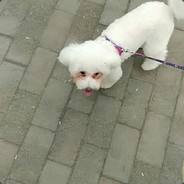 我手拿一把98K喊着响亮的口号