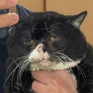 󠀡 󠀡 󠀡夜晚12点