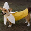 PerroBanana