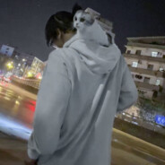 我拥有的都是侥幸