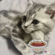 TomppaOmppa1 avatar