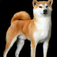 这是今天的第六遍