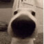 tichy :O
