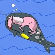 Knottynarwhal