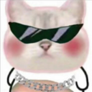 猫猫头联盟xiaoT