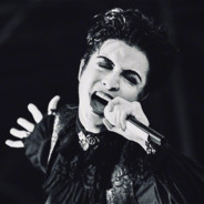 BiliBili膝盖上的肥喵