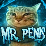 Mr. Penis