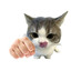 maripali743's avatar