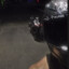 Kawasaki bang bang!Pau pau!