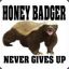 Honey Badger