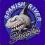 SpainSh4rk