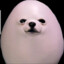 Doge