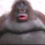 beanboy