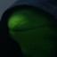 Prophecy Kermit