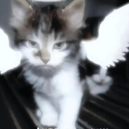 我躁这个悸8世界