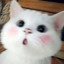 rin.kat