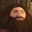 ps1 hagrid