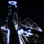 Silver_TMP