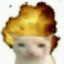 zitrow