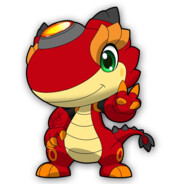 木村拓哉北京分哉