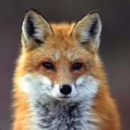 Jinglebells - steam id 76561197961795907