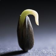 Aim train! - steam id 76561197961409428