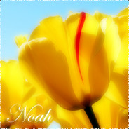 Noah