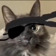 Oblixie