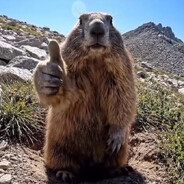 cumjuice - steam id 76561199534112223