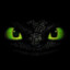 NIGHT FURY