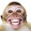 Happy.monkey