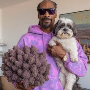 †𝓗𝟏𝓼𝟎𝓴𝓪†