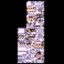 MissingNo.