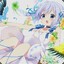 Kafuu Chino