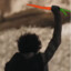 Lisan al Bow Thief