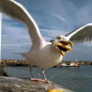 走，去码头整点薯条。