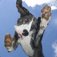 酷得像风  野得像狗