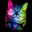 Rainbow_cat89