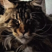 tn2v | 誰にでも夢はある - steam id 76561199741195631