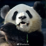 动物园警铃大作