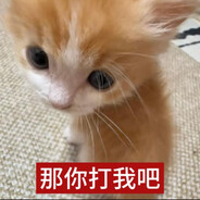 小猫博士