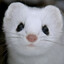 Weasel of Eternal Despair