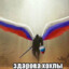 злая киска