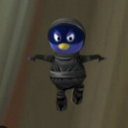 The Ninja