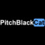 𝕄eisterPitchBlackCat