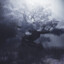 Collateral_Alex