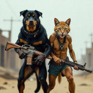 DOGCATFIRE