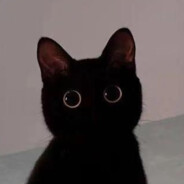 TACOCAT